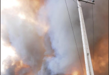 Al menos 12 casas quemadas por incendio forestal en Tiltil