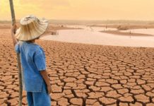 Banco Mundial: Cambio climático podría provocar migración interna de 216 millones de personas para 2050