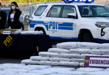 Indagan vinculo con cartel mexicano: PDI desbarata banda dedicada a tráfico de marihuana