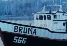 Abogado de pescadores de Bruma pide formalizar a capitán del Cobra