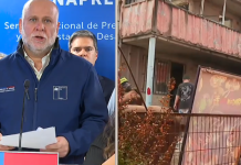 Nuevo balance de incendios forestales: aumentan a 20 las víctimas fatales